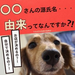 名前の由来って？